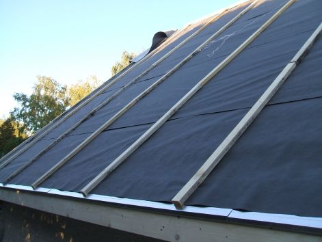 dscf1382.jpg dscf1382.jpg