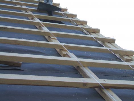 dscf1402.jpg dscf1402.jpg